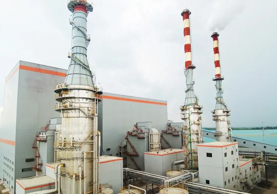 Power station boiler-flue gas