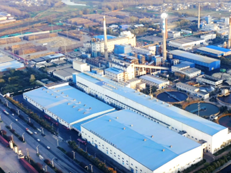 Zhumadian Baiyun Paper flue gas treatment EPC project