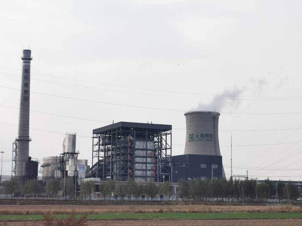 Binxian biomass cogeneration project 1×140t/h desulfurization and dust removal